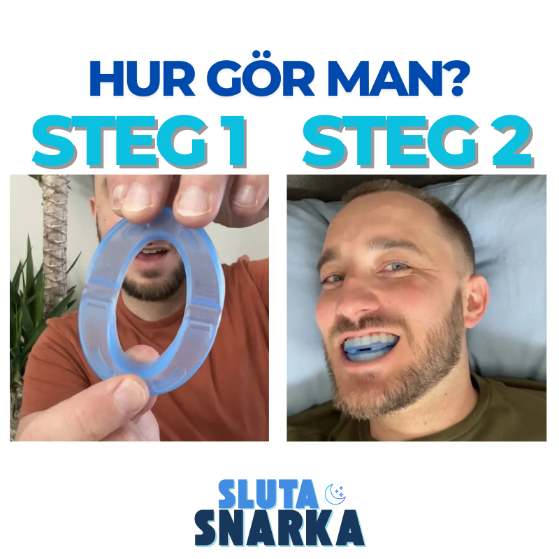 SlutaSnarkarn